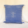 Ssakt Accent Pillow