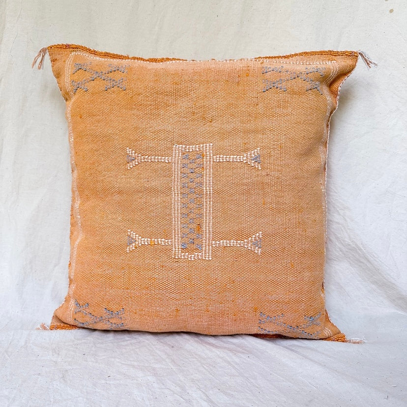 Ssakt Accent Pillow