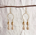 Large Cowry Earrings