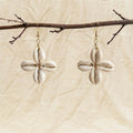 Small cowry Earrings