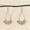 Cowry Oval Earrings